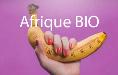 Comment Agrandir et Allonger le Pénis avec le Beurre de Karité