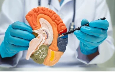 Comment Traiter Naturellement la Maladie d’Alzheimer ?